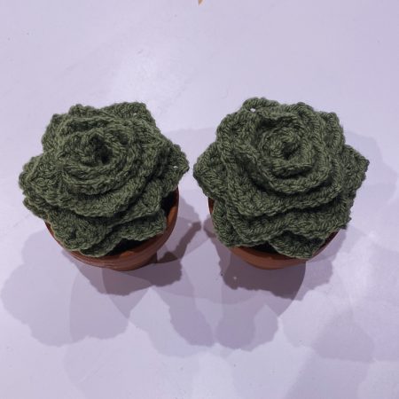 Handmade Crochet Cacti in Pots, Crochet Gifts, Crochet Cactus, Crochet Succulents