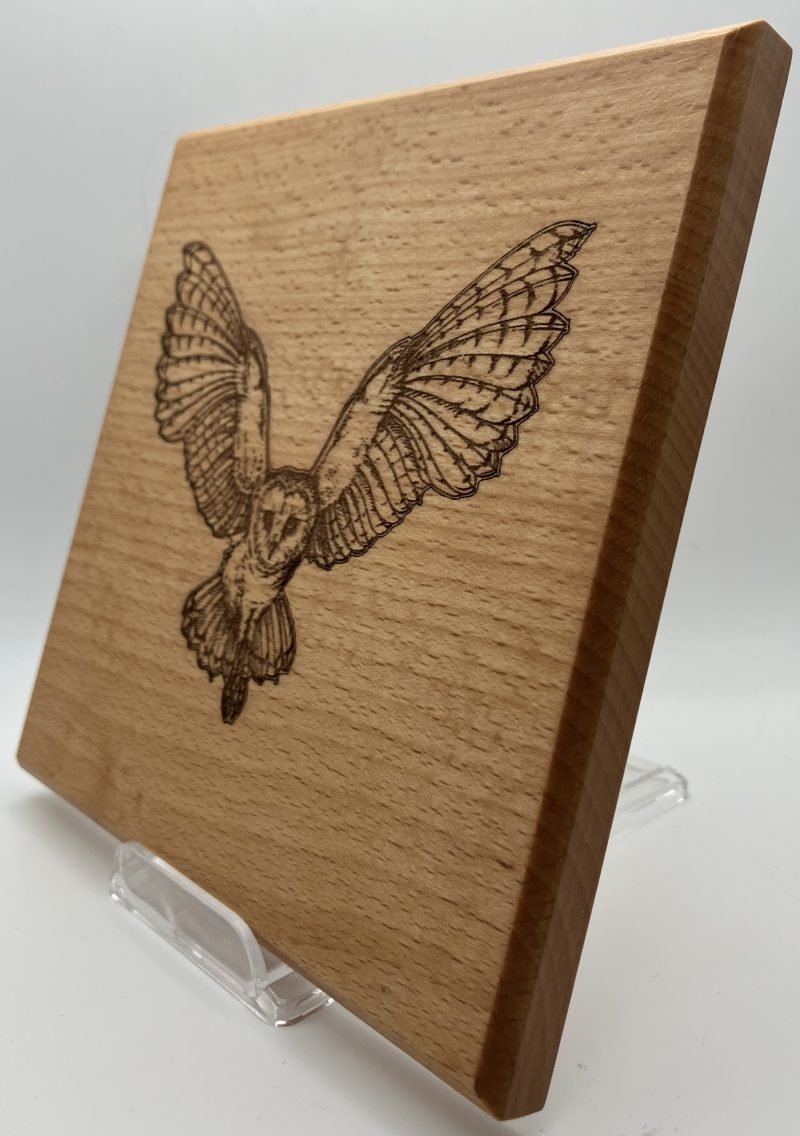 Barn Owl Full Flight Engraved on Beech Wall Hanging