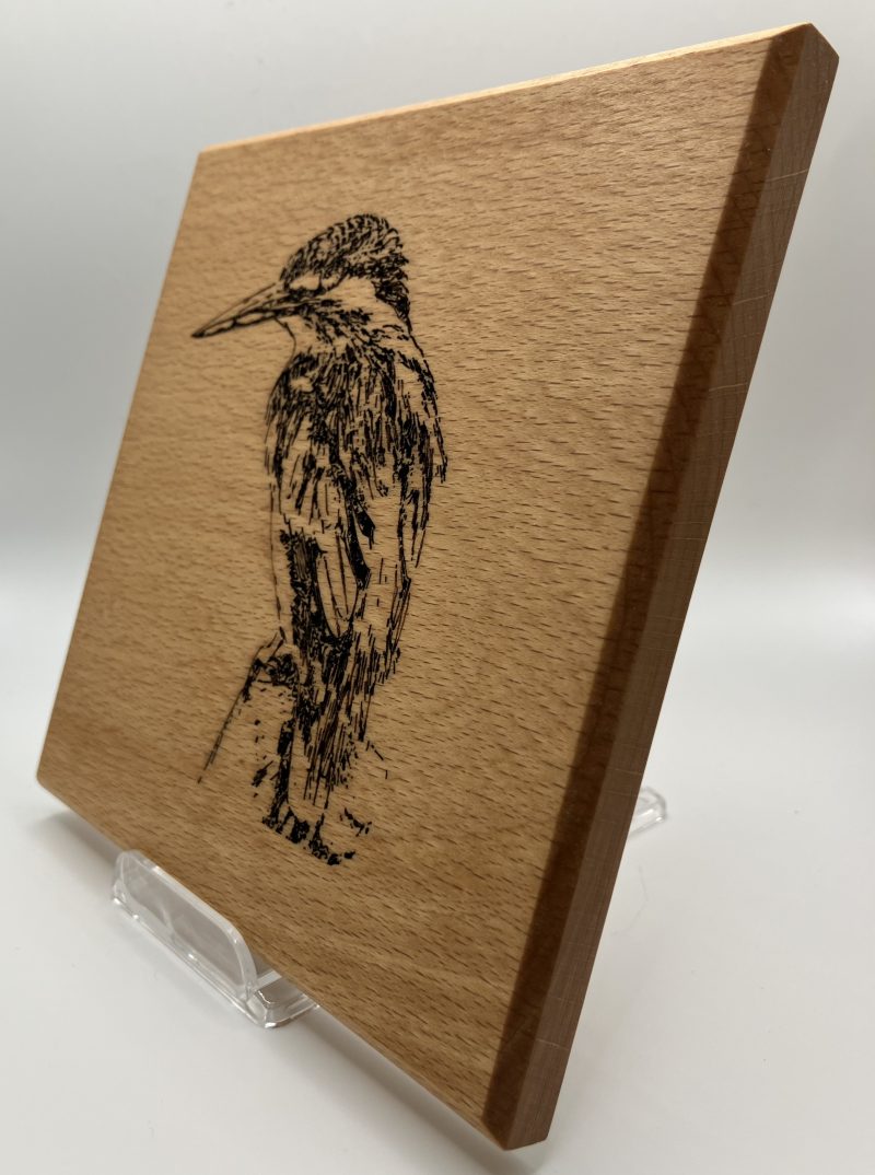 Kingfisher Engraved on Beech Wall Hanging