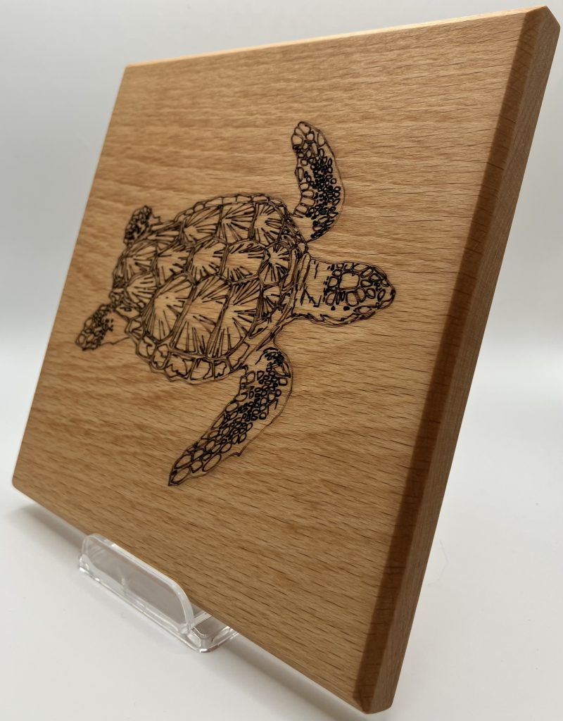 Turtle Engraved on Beech Wall Hanging
