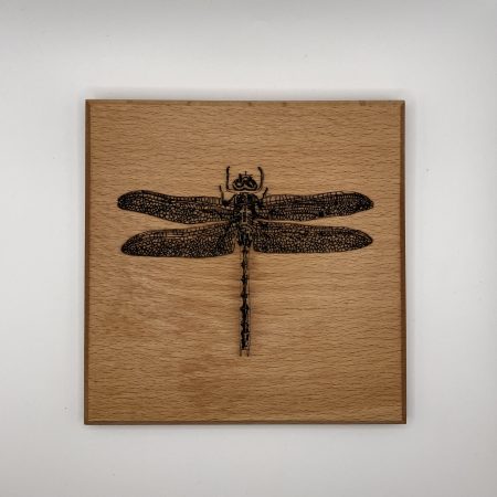 Dragonfly Engraved on Beech Wall Hanging