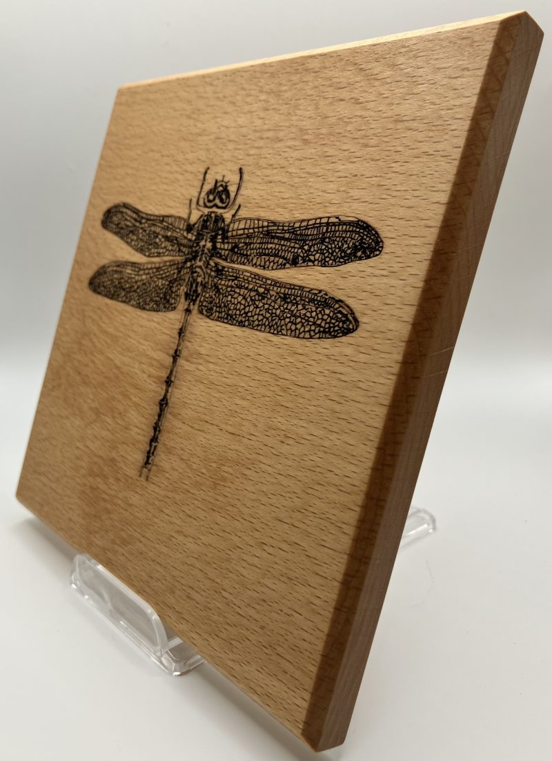 Dragonfly Engraved on Oak for Wall Hanging