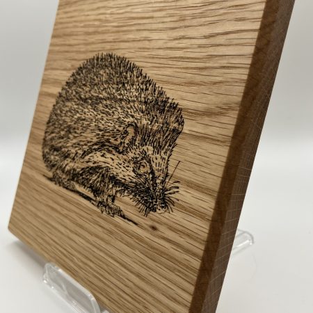 Hedgehog Engraved on Oak Wall Hanging