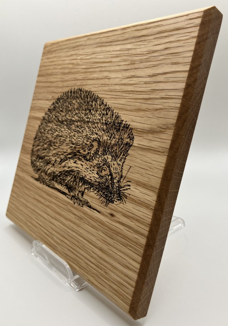 Hedgehog Engraved on Oak Wall Hanging