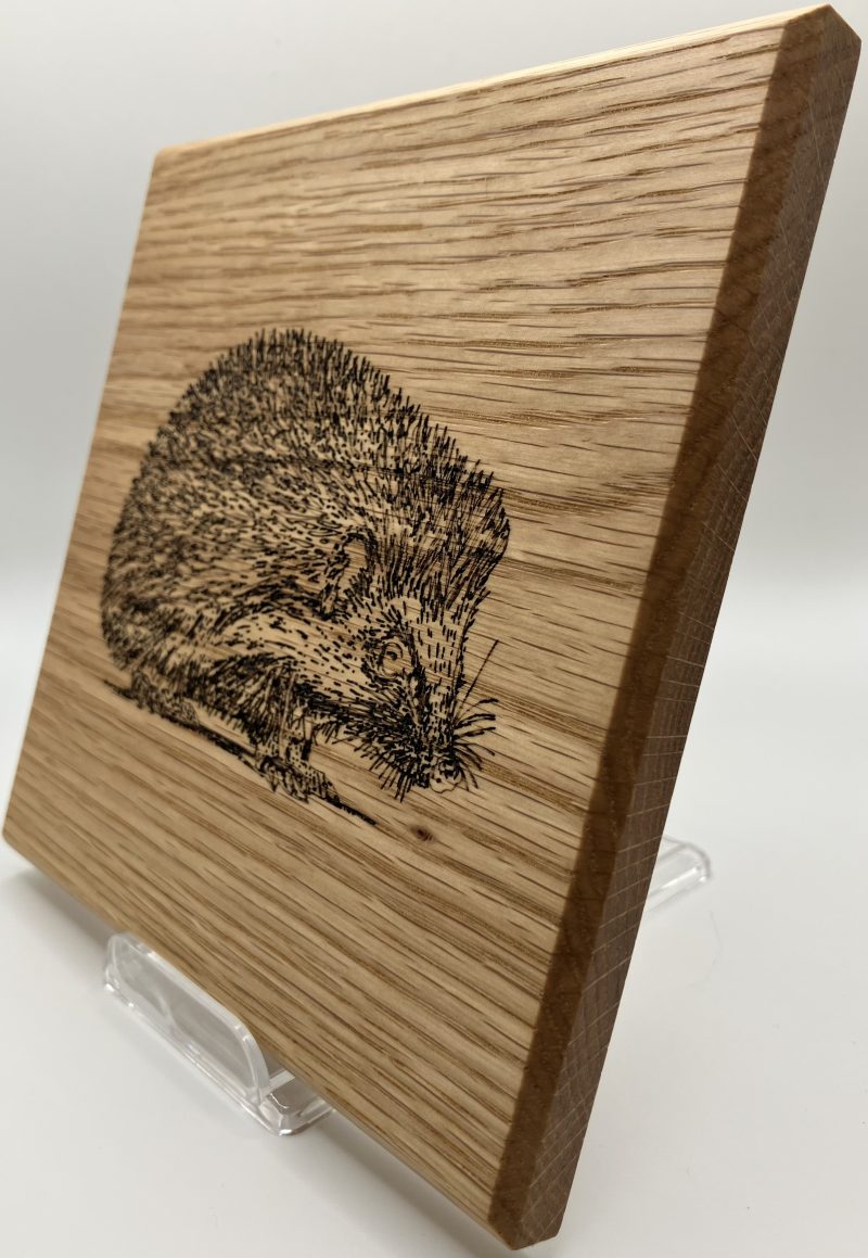 Hedgehog Engraved on Oak Wall Hanging