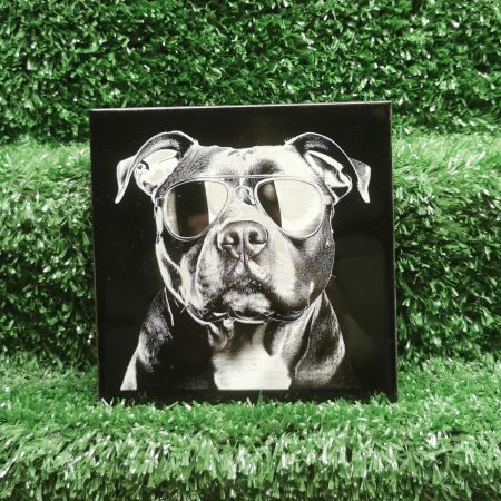 Staffordshire Bull Terrier with Sunglasses Ceramic Tile, Fun, Art, Decorative, 150mm Square