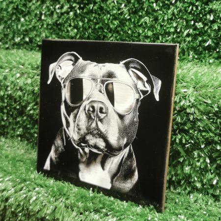 Staffordshire Bull Terrier with Sunglasses Ceramic Tile, Fun, Art, Decorative, 150mm Square
