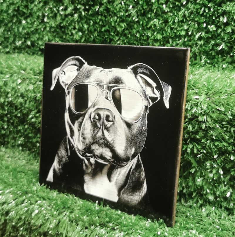 Staffordshire Bull Terrier with Sunglasses Ceramic Tile, Fun, Art, Decorative, 150mm Square