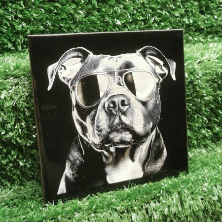 Staffordshire Bull Terrier with Sunglasses Ceramic Tile, Fun, Art, Decorative, 150mm Square