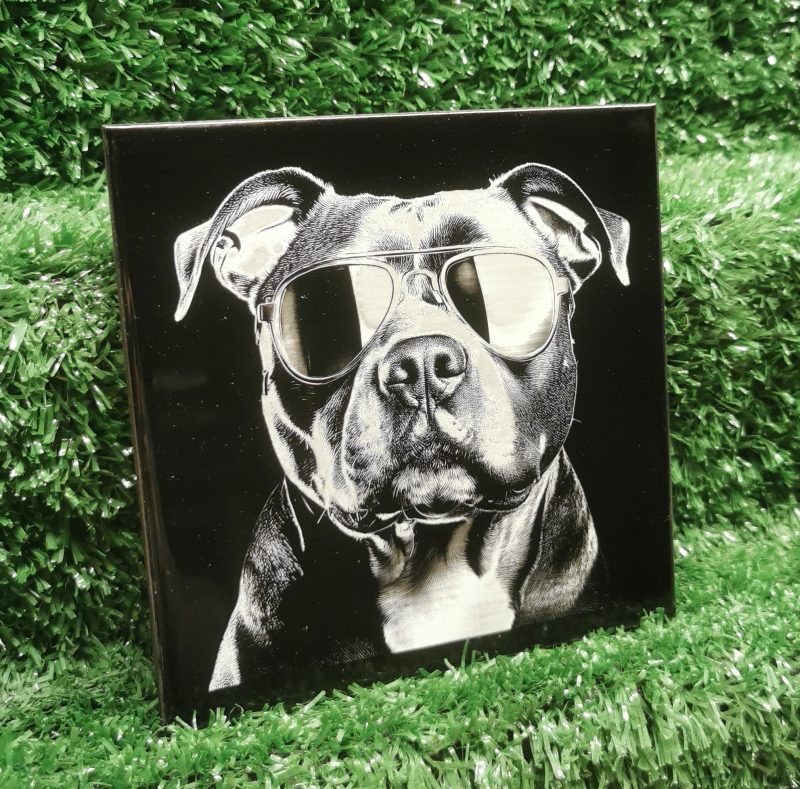 Staffordshire Bull Terrier with Sunglasses Ceramic Tile, Fun, Art, Decorative, 150mm Square