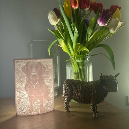 Personalised Picture Lithopanes