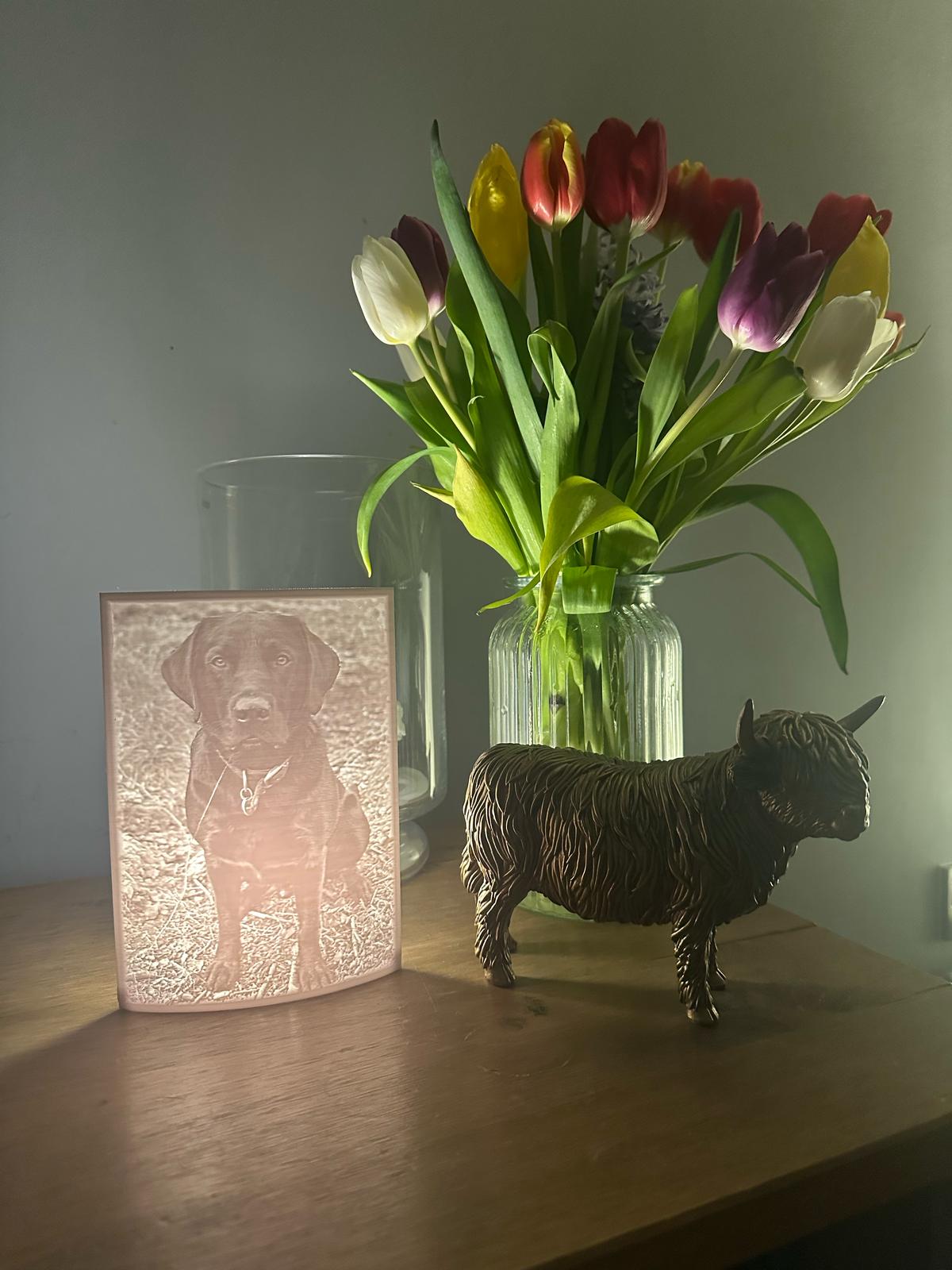 Personalised Picture Lithopanes