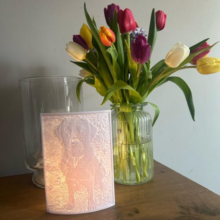 Personalised Picture Lithopanes