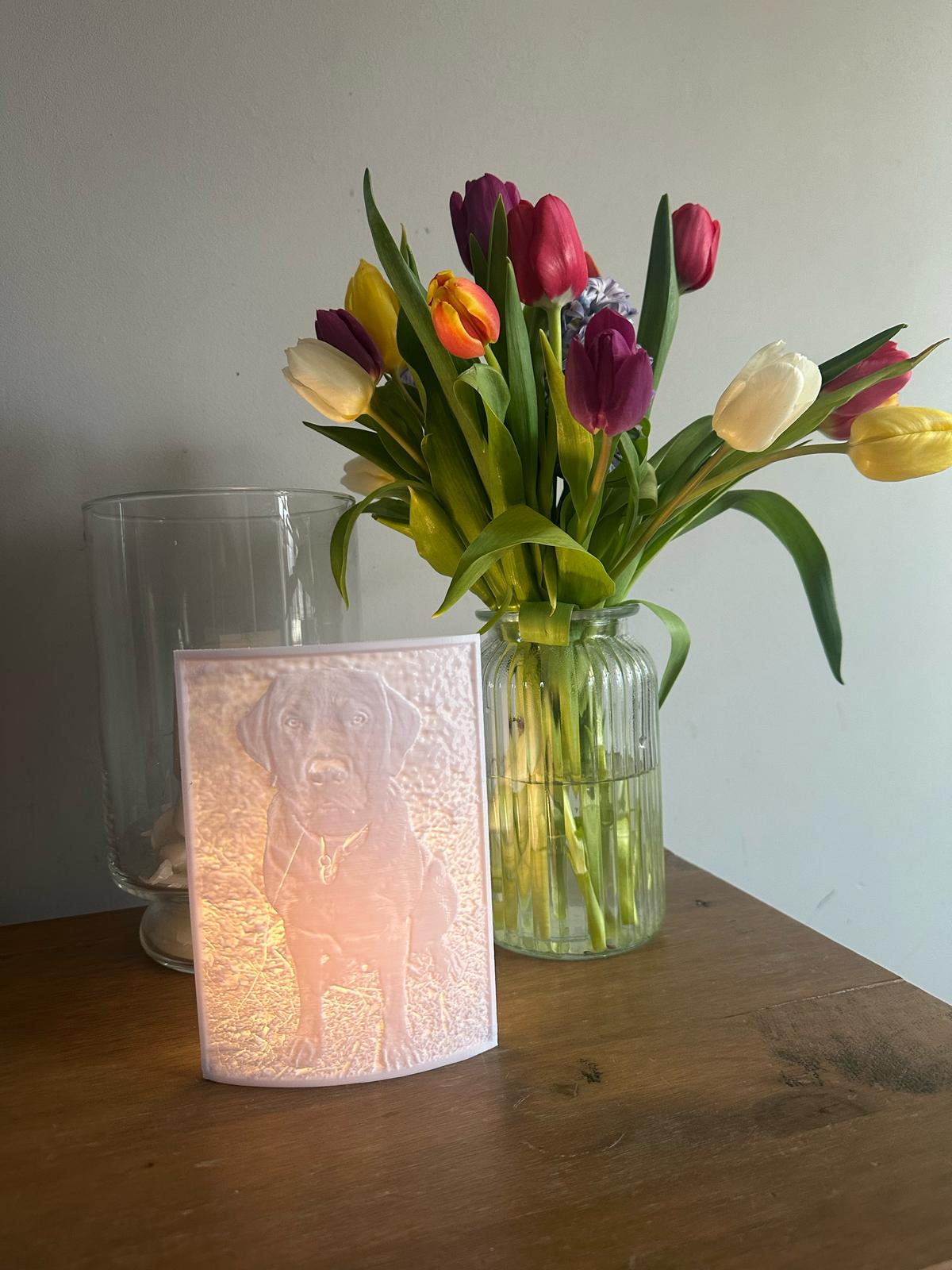 Personalised Picture Lithopanes