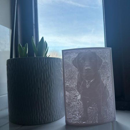 Personalised Picture Lithopanes