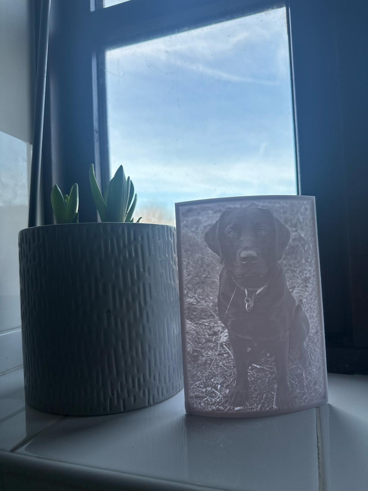 Personalised Picture Lithopanes