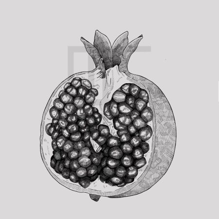 Blackwork Illustration Print of a Halved Pomegranate