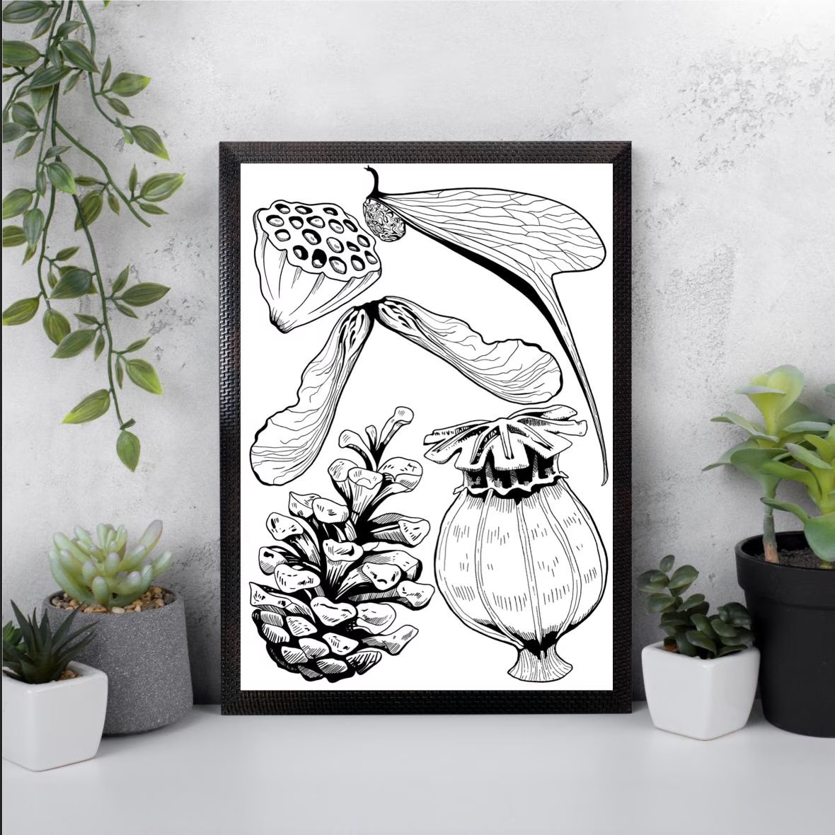 Blackwork Illustration A4 Print of Seeds of Life Flash Sheet