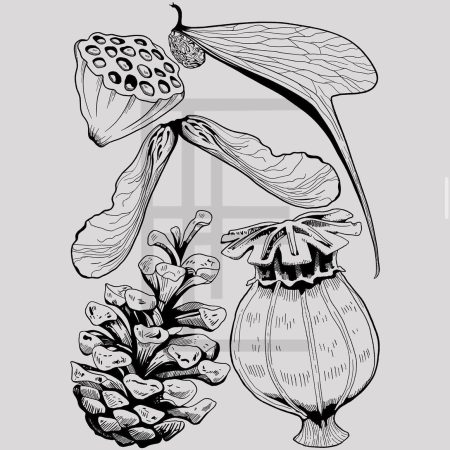 Blackwork Illustration A4 Print of Seeds of Life Flash Sheet