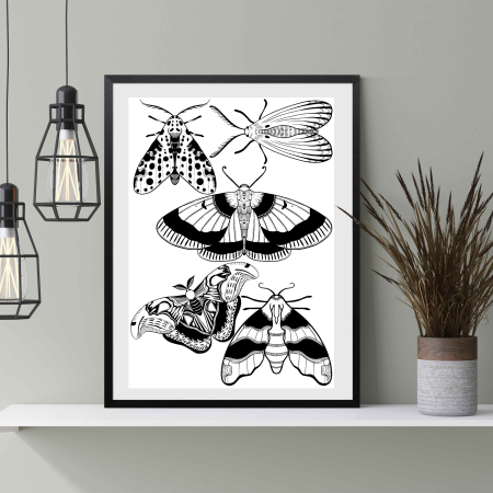 Blackwork Illustration Flash Sheet Moths and Butterflies