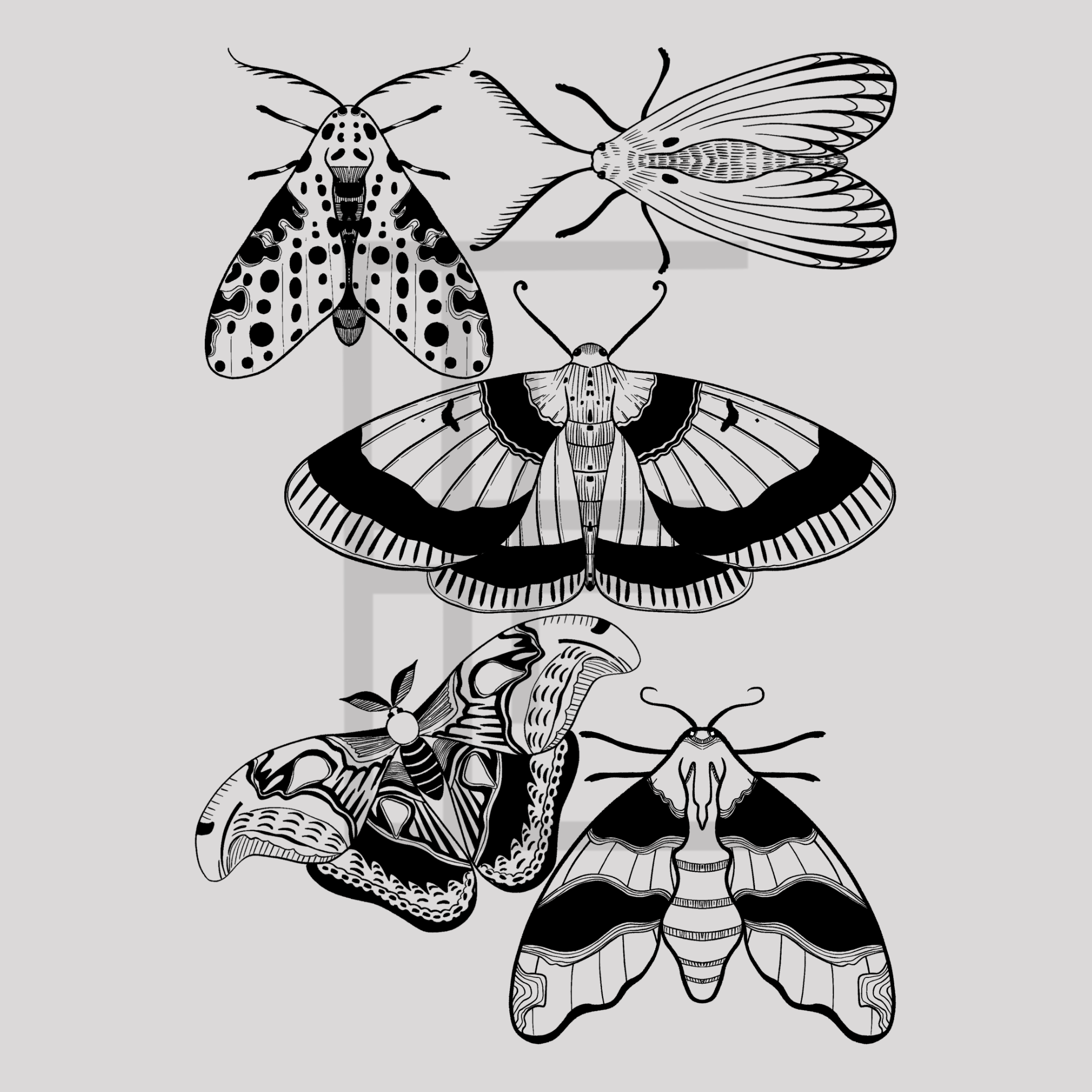 Blackwork Illustration Flash Sheet Moths and Butterflies