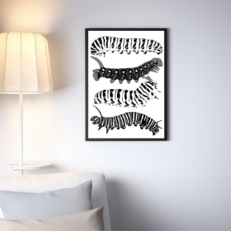Blackwork Illustration A4 Print Caterpillars