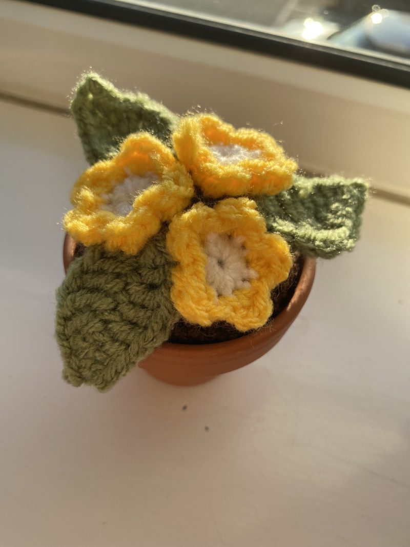 Handmade Crochet Flowers in Pots, Crochet Gifts, Crochet Flowers