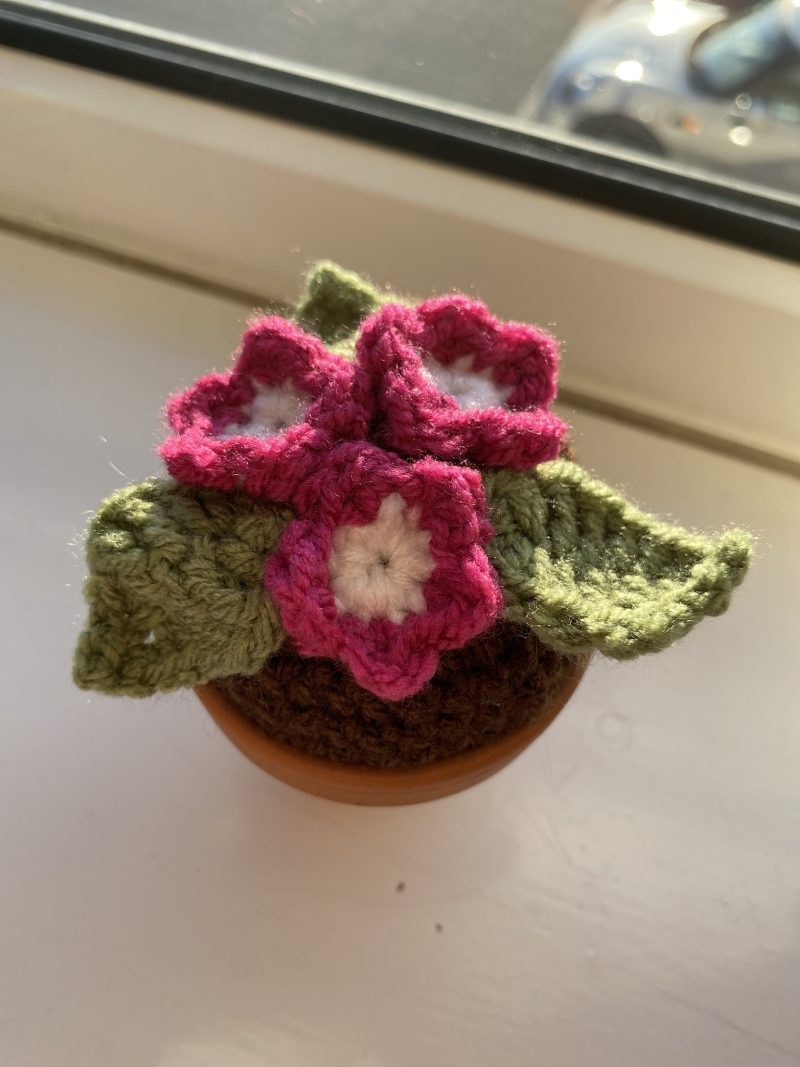 Handmade Crochet Flowers in Pots, Crochet Gifts, Crochet Flowers
