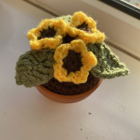 Handmade Crochet Flowers in Pots, Crochet Gifts, Crochet Flowers