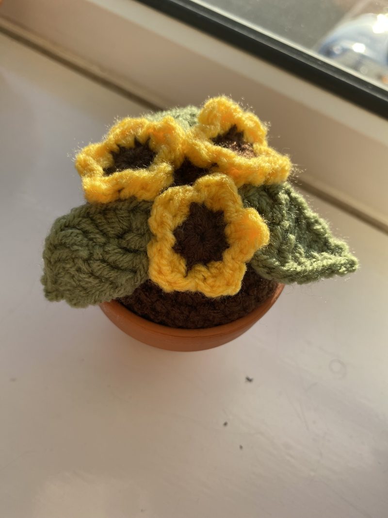 Handmade Crochet Flowers in Pots, Crochet Gifts, Crochet Flowers