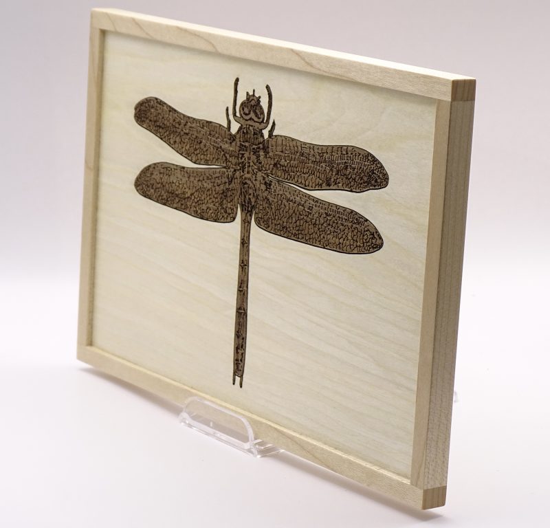 Dragonfly Engraved in Walnut Veneer on Maple Framed for Hanging