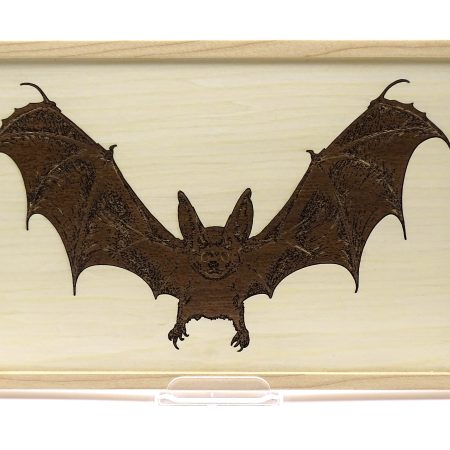 Bat Engraved in Walnut Veneer on Maple Framed for Hanging