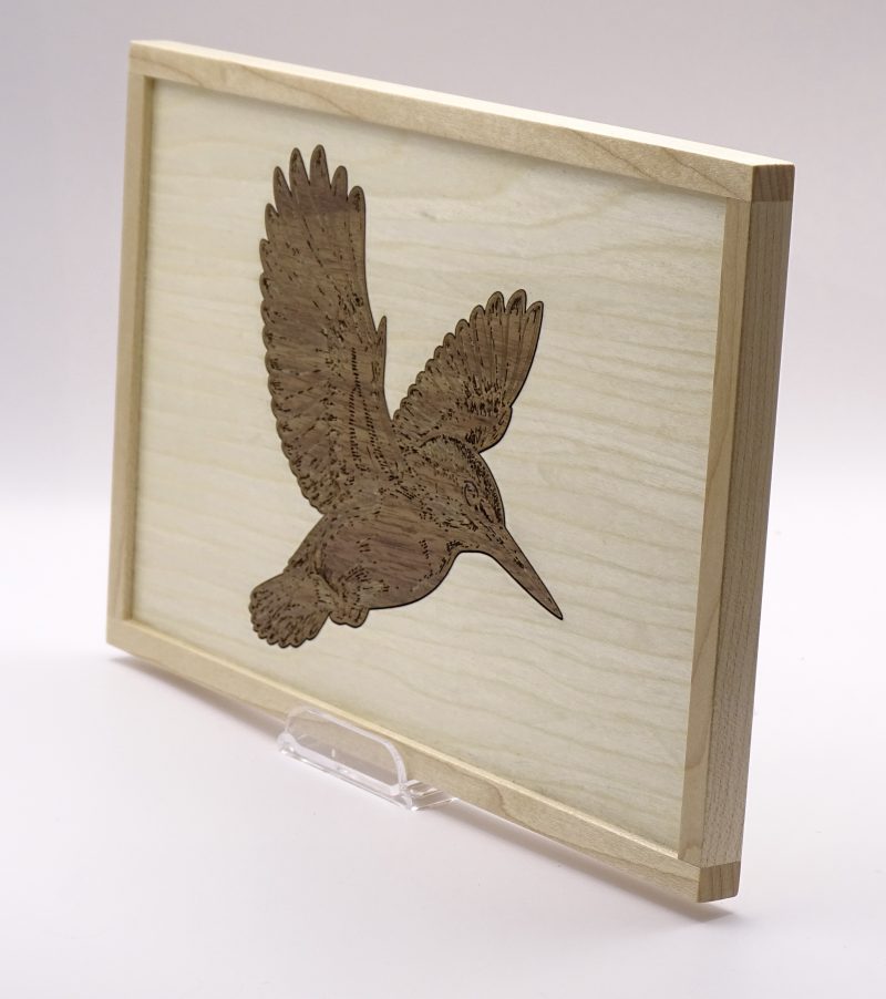 Kingfisher Engraved in Walnut on Maple, Framed for Hanging