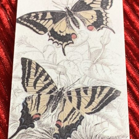 Sterling silver earrings and necklace set with pink shells inside a message in a bottle