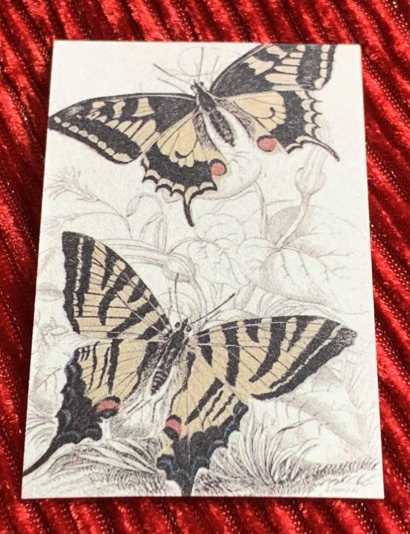 Sterling silver earrings and necklace set with pink shells inside a message in a bottle