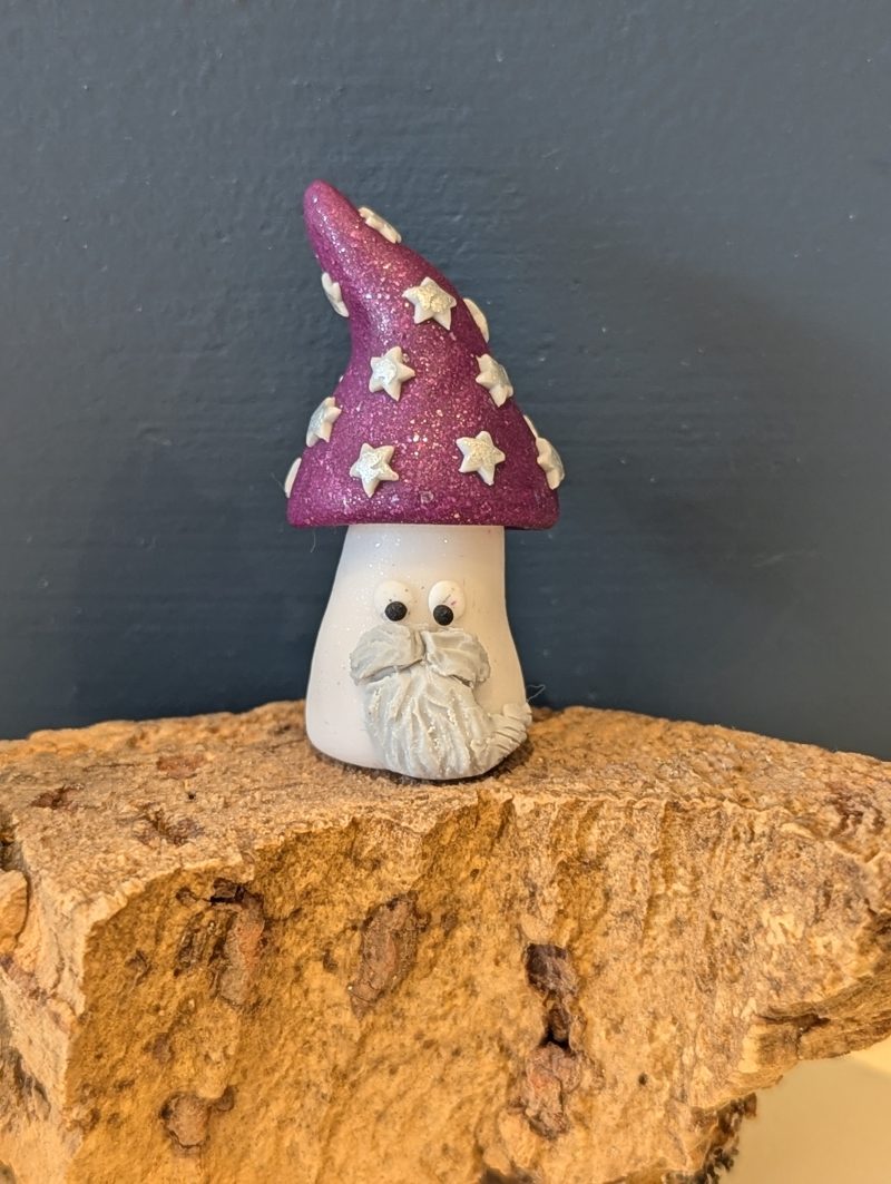 Mini Mushroom gift for a mushroom lover