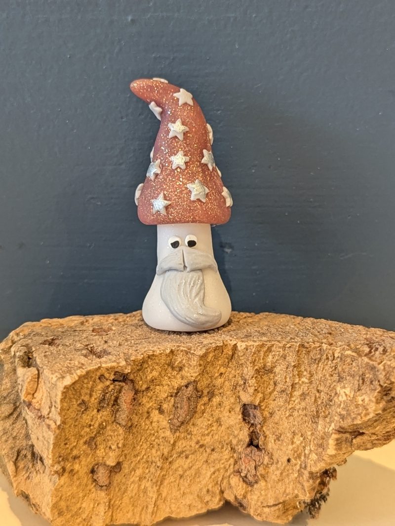 Mini Mushroom gift for a mushroom lover
