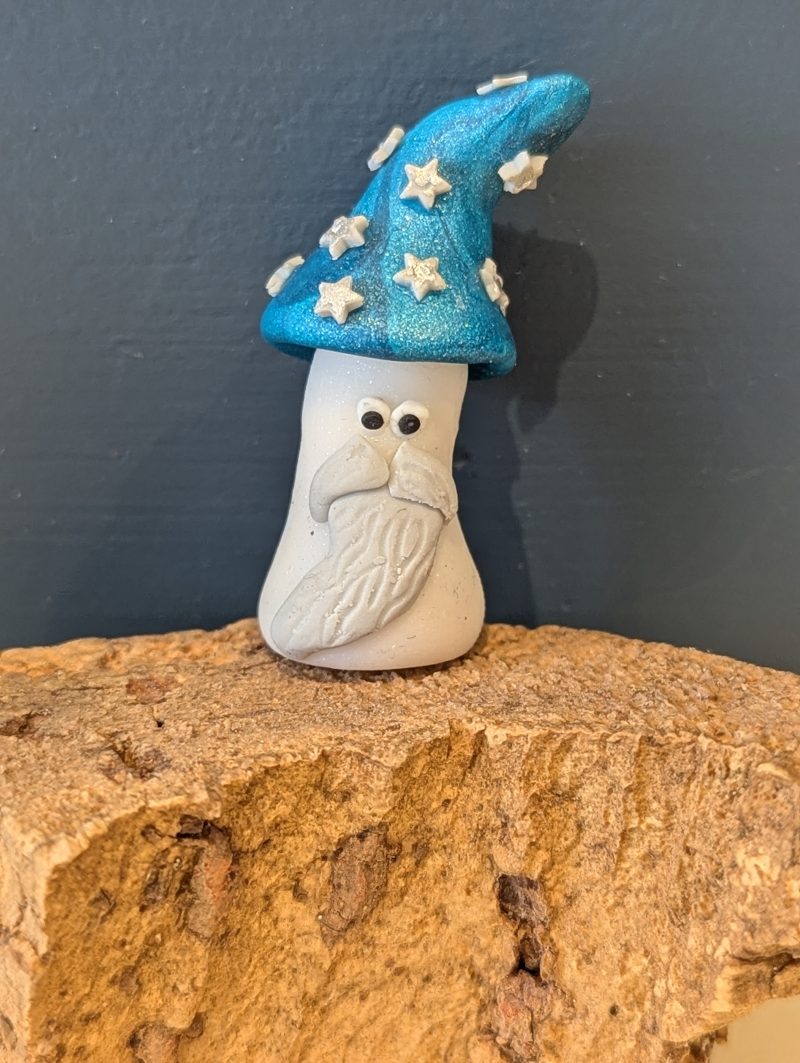 Mini Mushroom gift for a mushroom lover