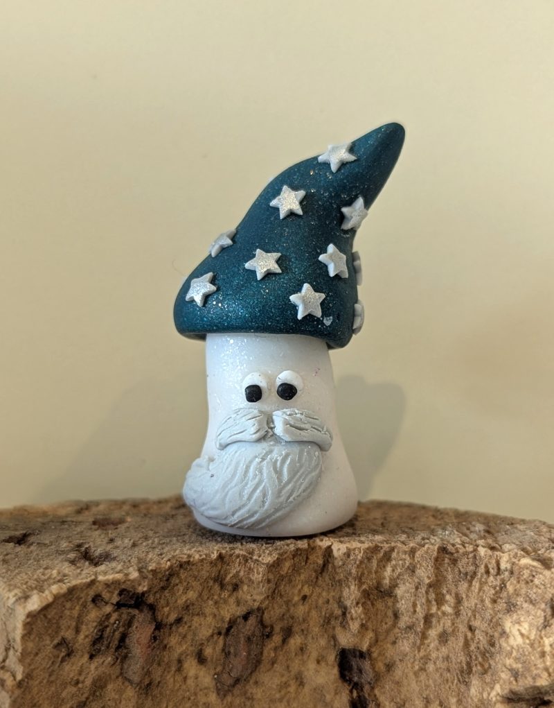 Mini Mushroom gift for a mushroom lover