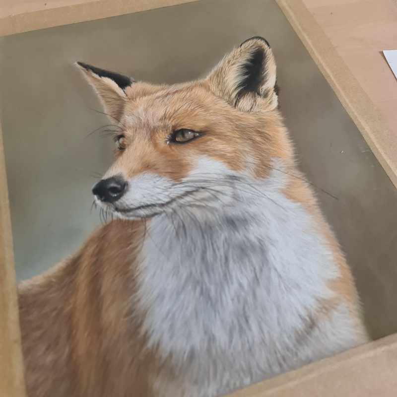 Fox Fine Art Print