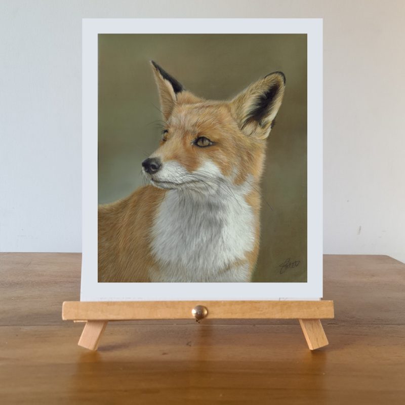 Fox Fine Art Print