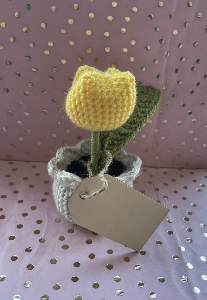 Tulip Pot with Personalised Message