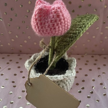 Tulip Pot with Personalised Message