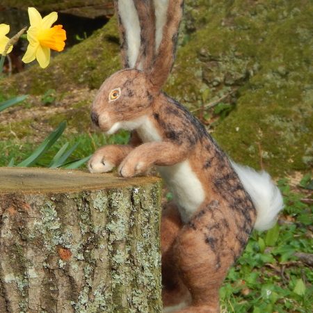 Star gazing hare - Image 2