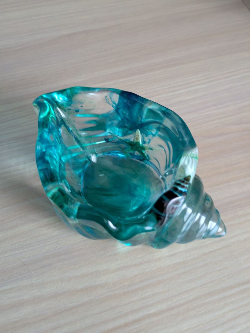 Gorgeous resin conch shells