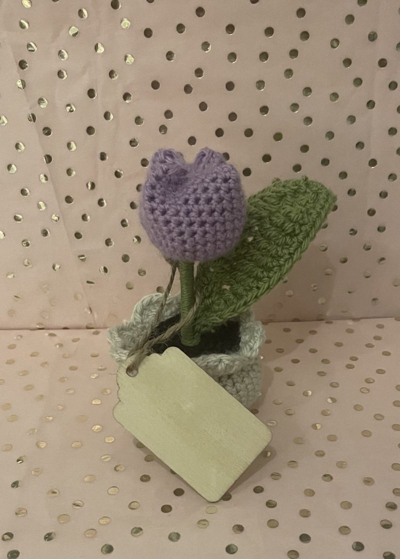 Tulip Pot with Personalised Message