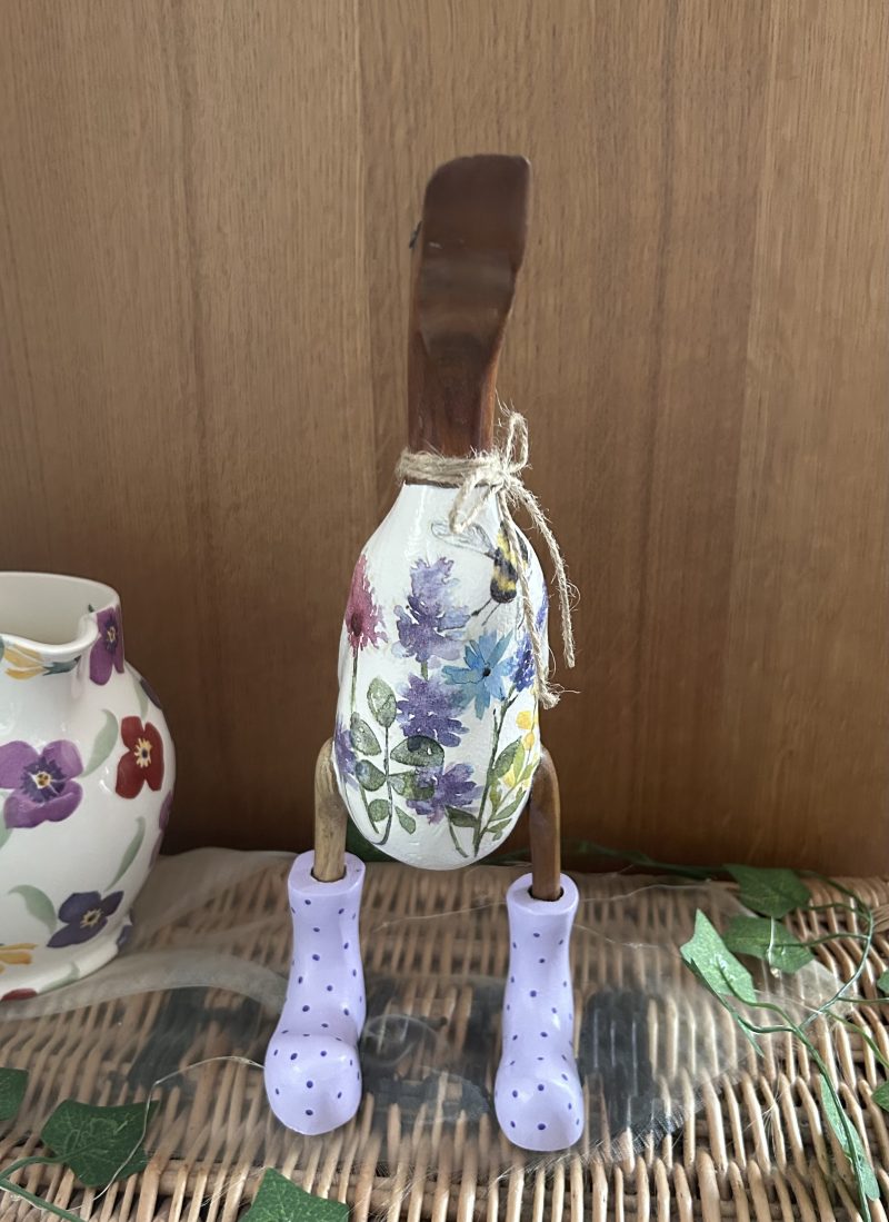Duck with Wellies