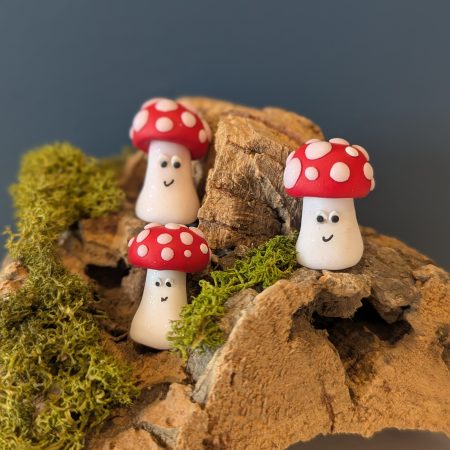 mini mushroom gift for a mushroom lover