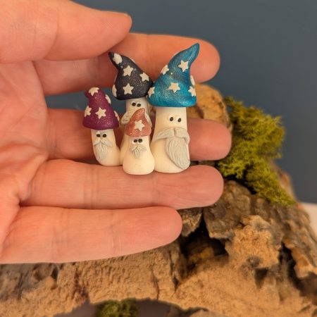 mini mushroom family group of 'magic' mushrooms