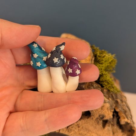 mini mushroom family group of 'magic' mushrooms